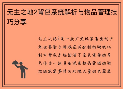 无主之地2背包系统解析与物品管理技巧分享